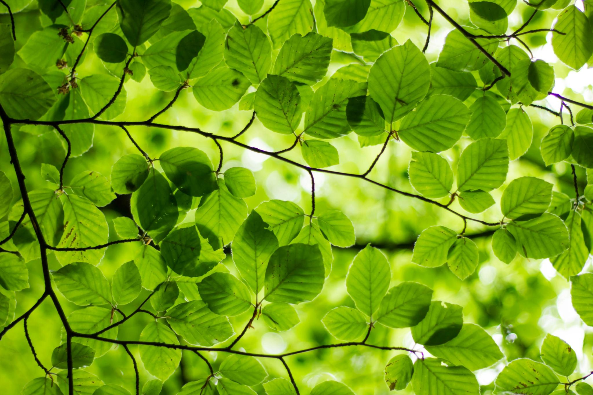 Foto von Ash Amplifies auf Unsplash