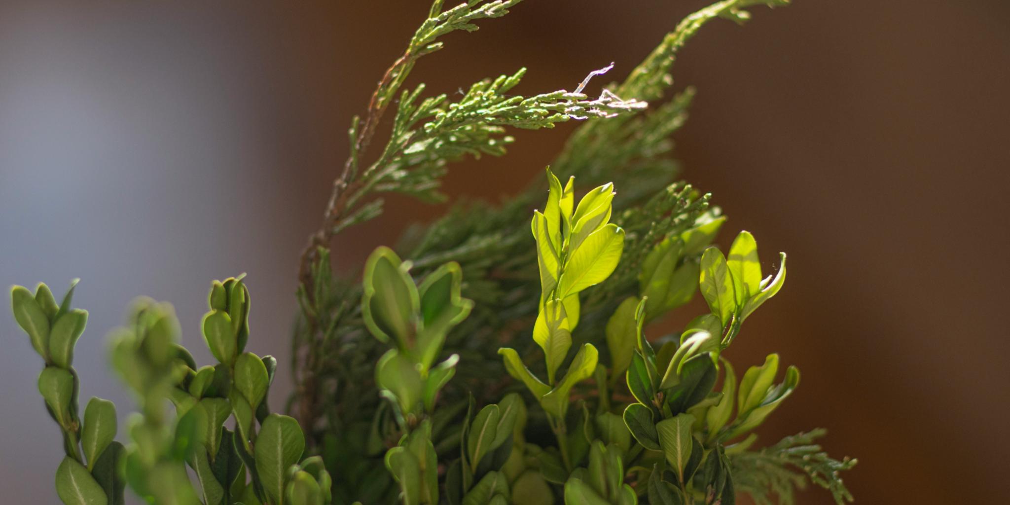 Foto von Elena Mozhvilo auf Unsplash
