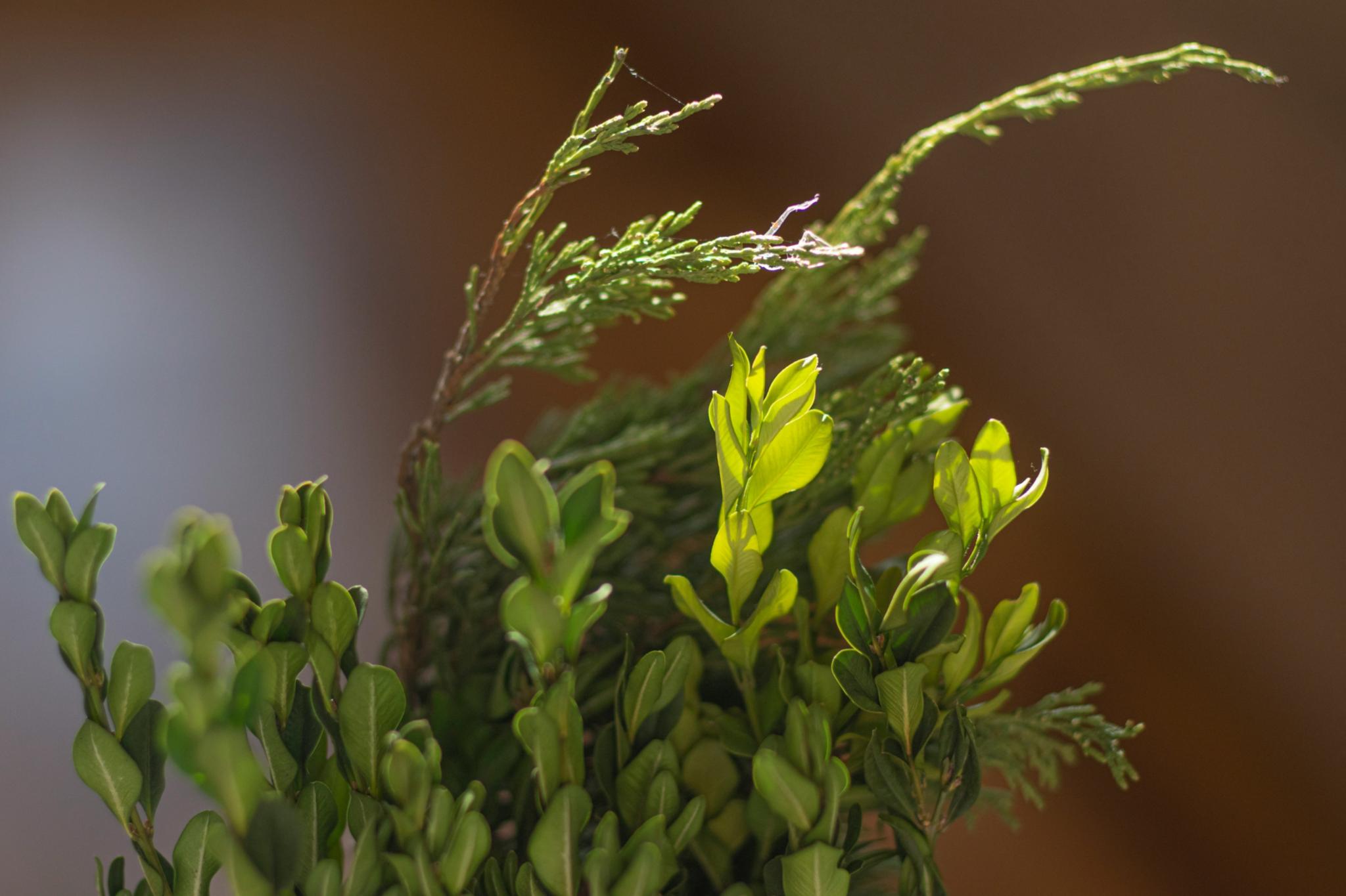 Foto von Elena Mozhvilo auf Unsplash