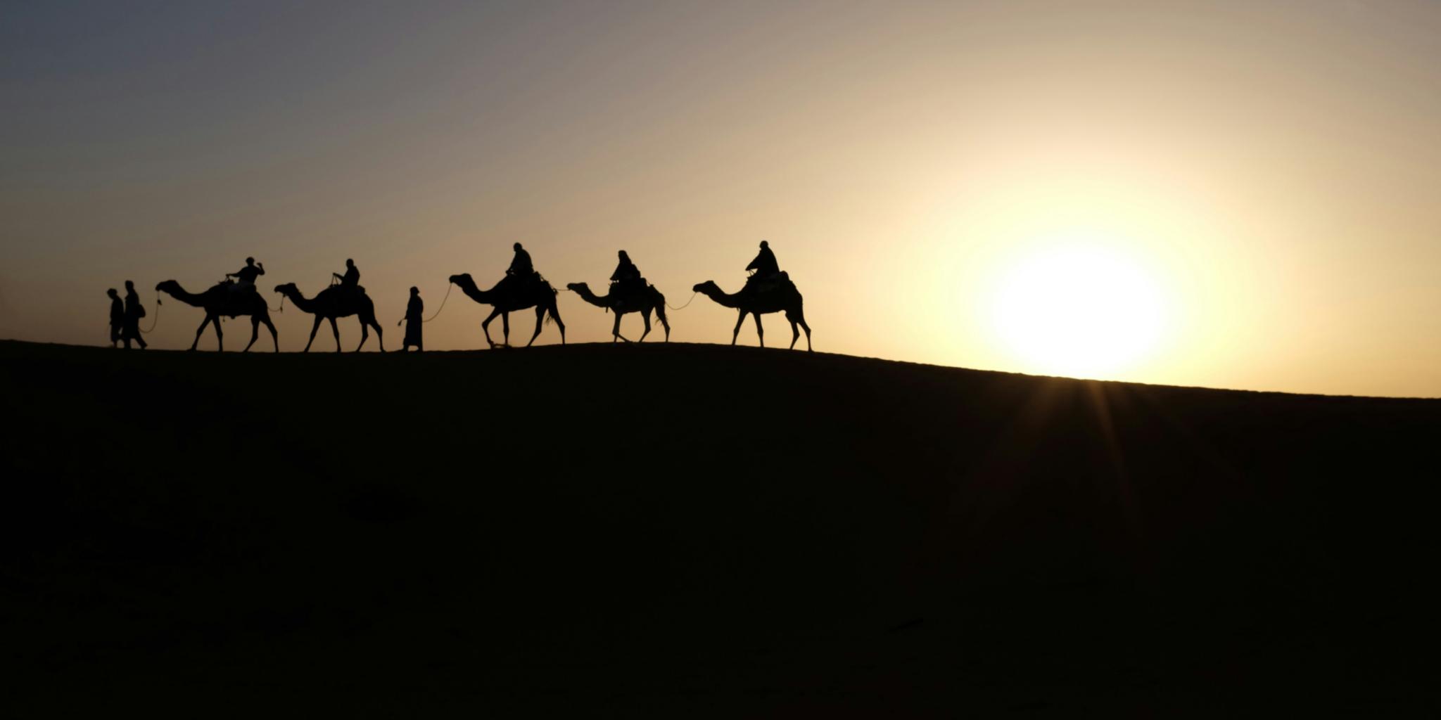 (c) Foto von Inbal Malca auf Unsplash Foto von Inbal Malca auf Unsplash