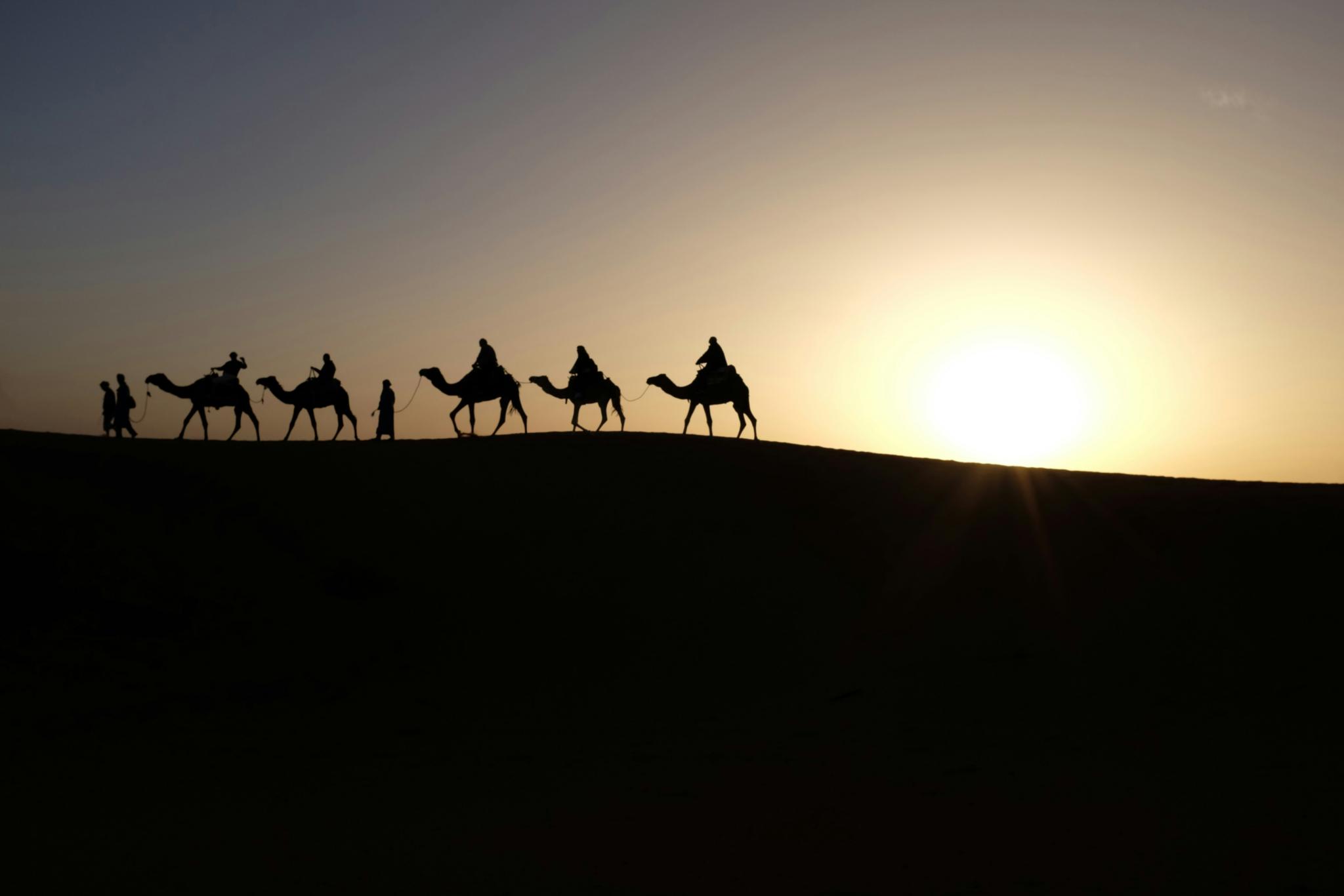 Foto von Inbal Malca auf Unsplash