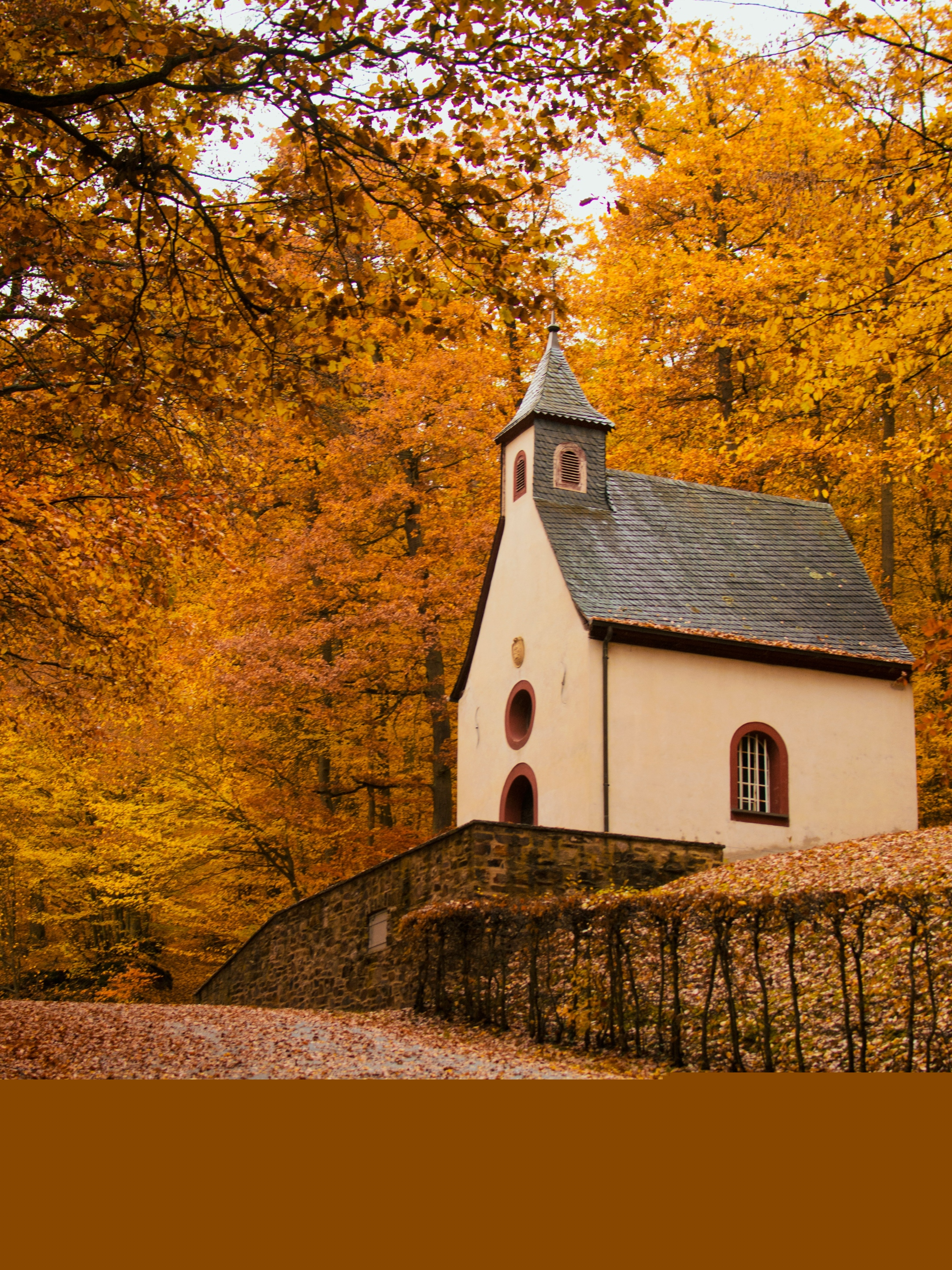 julia-solonina-aLtcC9oWdPw-unsplash Foto von Julia Solonina auf Unsplash