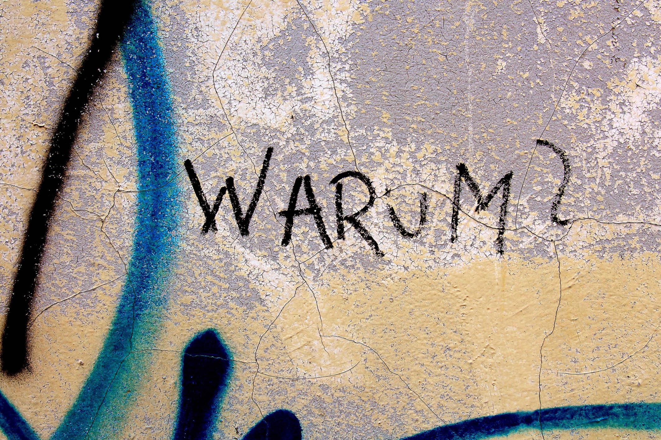 Auf einer Wand steht das Wort Warum mit einem Fragezeichen geschrieben